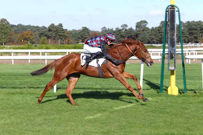 Photo d'arrivée de la course pmu PRIX DU BARON MAURICE DE NEXON à FONTAINEBLEAU le Jeudi 3 novembre 2016