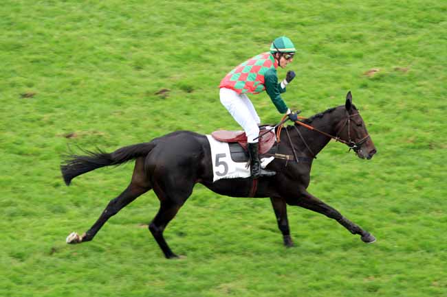 Photo d'arrivée de la course pmu GRAND PRIX D'AUTOMNE à AUTEUIL le Samedi 5 novembre 2016