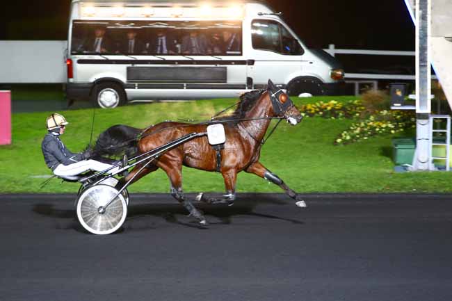Photo d'arrivée de la course pmu PRIX MEDUSA à PARIS-VINCENNES le Mardi 8 novembre 2016