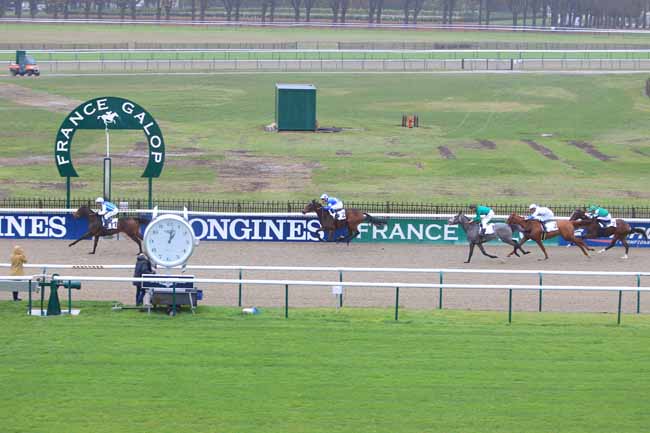 Photo d'arrivée de la course pmu PRIX DE LA CAPITAINERIE DE CHASSE à CHANTILLY le Mercredi 9 novembre 2016