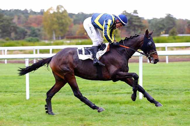 Photo d'arrivée de la course pmu PRIX COLONEL BEAUJEAN à FONTAINEBLEAU le Jeudi 10 novembre 2016