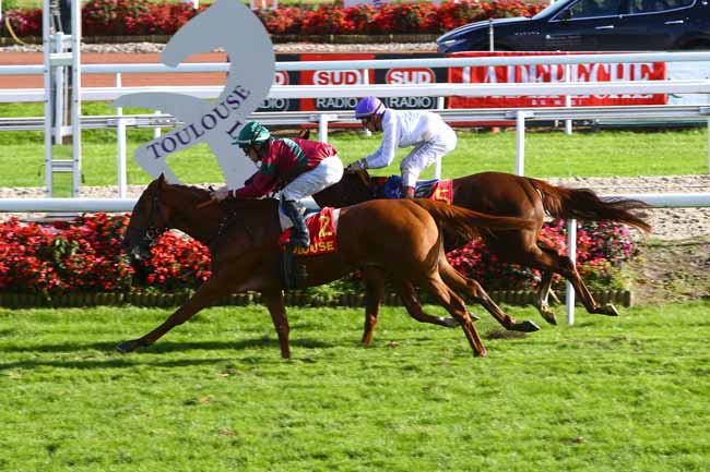 Photo d'arrivée de la course pmu PRIX D'ESQUIROL à TOULOUSE le Vendredi 11 novembre 2016