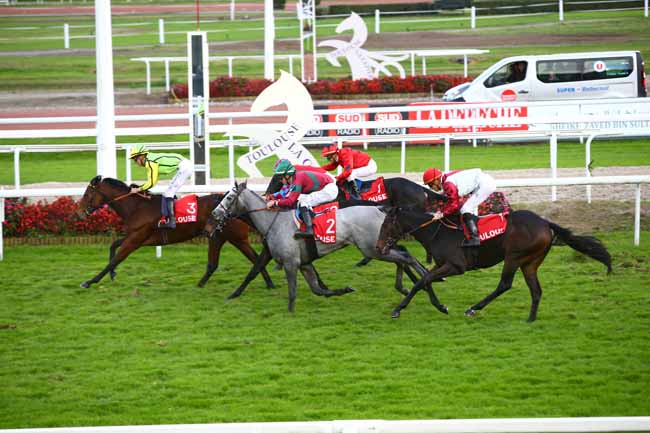 Photo d'arrivée de la course pmu PRIX DE LA VILLE DE CUGNAUX à TOULOUSE le Vendredi 11 novembre 2016