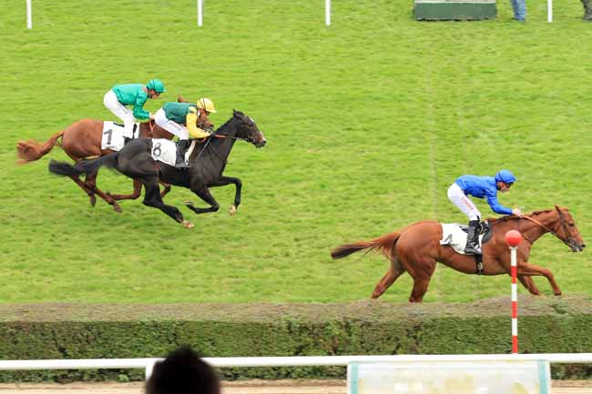 Photo d'arrivée de la course pmu PRIX CHAPEAU ROUGE à SAINT-CLOUD le Samedi 12 novembre 2016
