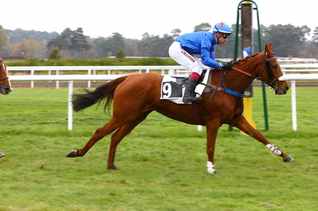 Photo d'arrivée de la course pmu PRIX DE MENTON à FONTAINEBLEAU le Samedi 12 novembre 2016