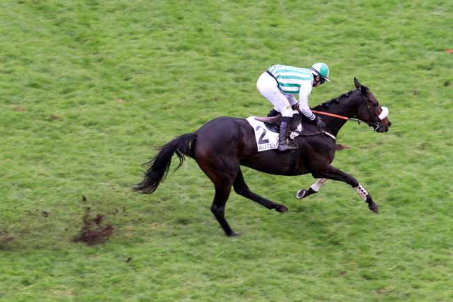 Photo d'arrivée de la course pmu PRIX SYTAJ à AUTEUIL le Dimanche 13 novembre 2016