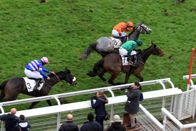 Photo d'arrivée de la course pmu PRIX RENAUD DU VIVIER - GRANDE COURSE DE HAIES DES 4 ANS à AUTEUIL le Dimanche 13 novembre 2016
