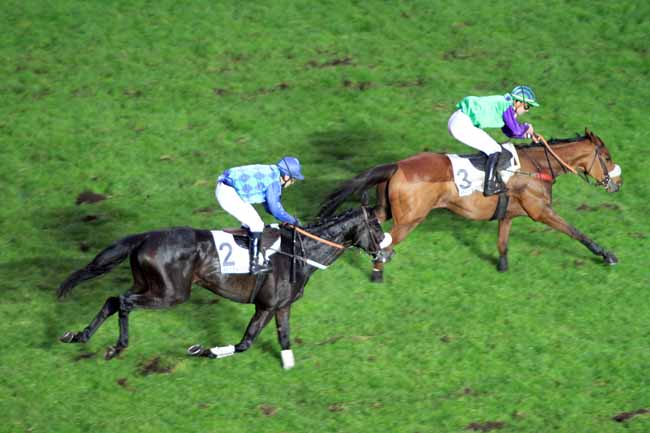 Photo d'arrivée de la course pmu PRIX GENERAL DONNIO à AUTEUIL le Dimanche 13 novembre 2016