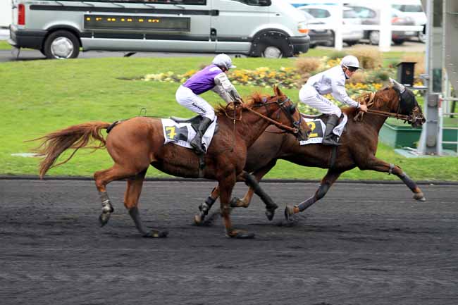 Photo d'arrivée de la course pmu PRIX D'HIESVILLE à PARIS-VINCENNES le Lundi 14 novembre 2016