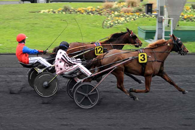 Photo d'arrivée de la course pmu PRIX ATLANTIC à PARIS-VINCENNES le Lundi 14 novembre 2016