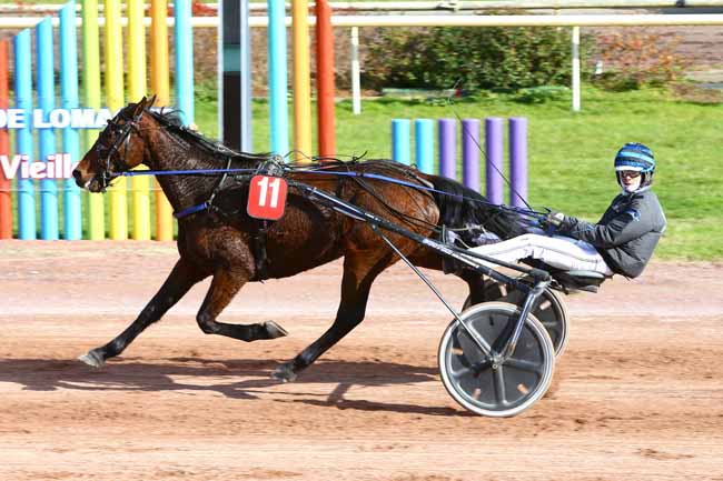 Photo d'arrivée de la course pmu PRIX GASTON COMBES à BEAUMONT-DE-LOMAGNE le Mardi 15 novembre 2016