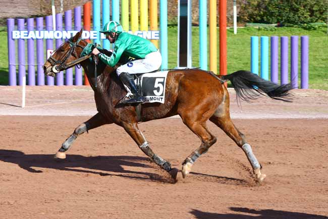 Photo d'arrivée de la course pmu PRIX COMTE DE POUY à BEAUMONT-DE-LOMAGNE le Mardi 15 novembre 2016