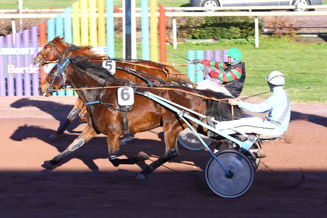 Photo d'arrivée de la course pmu PRIX EDOUARD DUMOUCH à BEAUMONT-DE-LOMAGNE le Mardi 15 novembre 2016