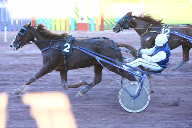 Photo d'arrivée de la course pmu PRIX MAX DAGUZAN GARROS (GR A) à BEAUMONT-DE-LOMAGNE le Mardi 15 novembre 2016