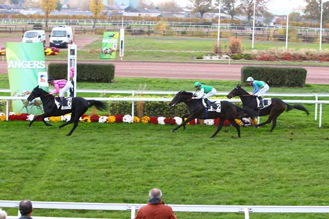 Photo d'arrivée de la course pmu HANDICAP D'ANGERS à ANGERS le Mercredi 16 novembre 2016