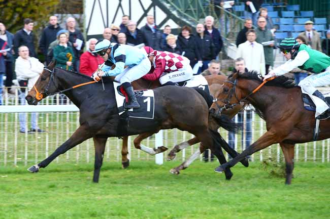 Photo d'arrivée de la course pmu PRIX CONTESSINA à FONTAINEBLEAU le Jeudi 17 novembre 2016