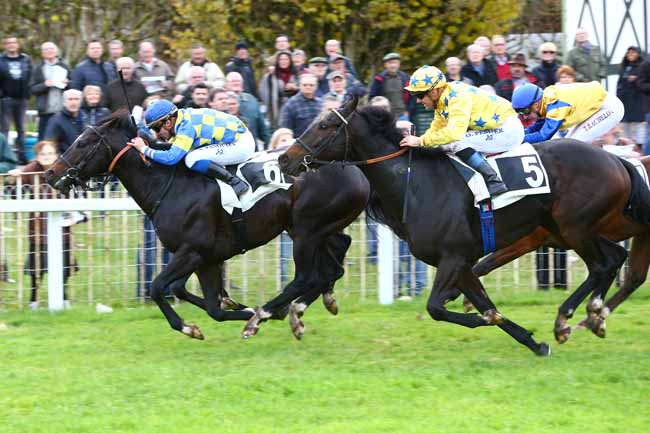 Photo d'arrivée de la course pmu PRIX HUBERT DE CATHEU à FONTAINEBLEAU le Jeudi 17 novembre 2016