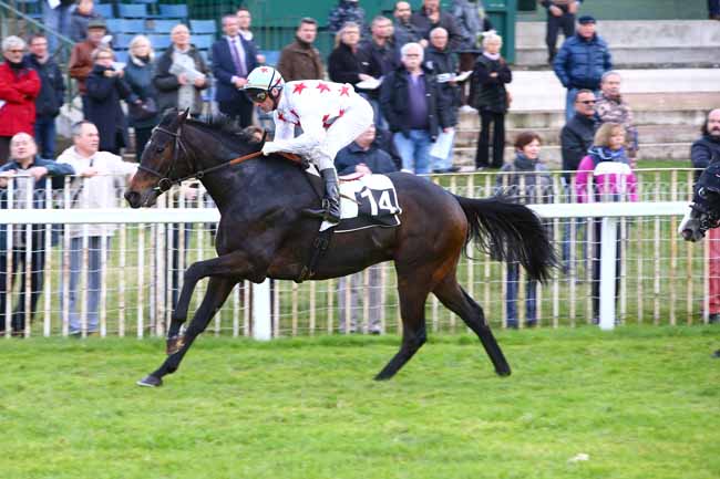 Photo d'arrivée de la course pmu PRIX D'EVRY à FONTAINEBLEAU le Jeudi 17 novembre 2016