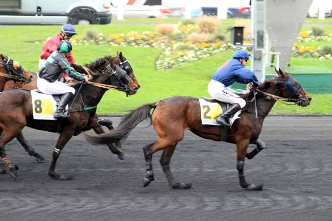 Photo d'arrivée de la course pmu PRIX DE MIRAMONT-DE-GUYENNE à PARIS-VINCENNES le Jeudi 17 novembre 2016