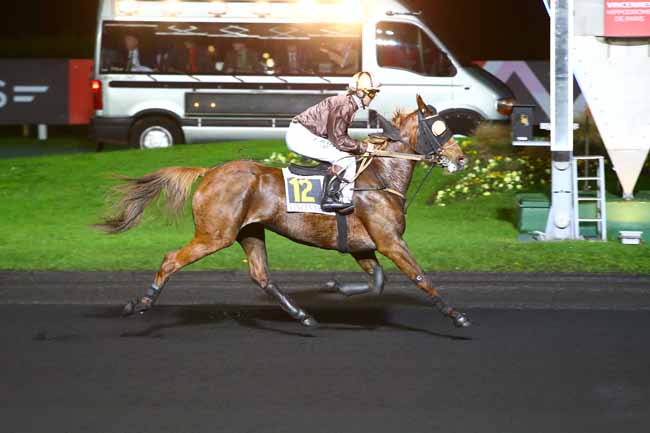 Photo d'arrivée de la course pmu PRIX LEONA à PARIS-VINCENNES le Vendredi 18 novembre 2016