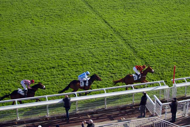 Photo d'arrivée de la course pmu PRIX PRE CATELAN à AUTEUIL le Samedi 19 novembre 2016