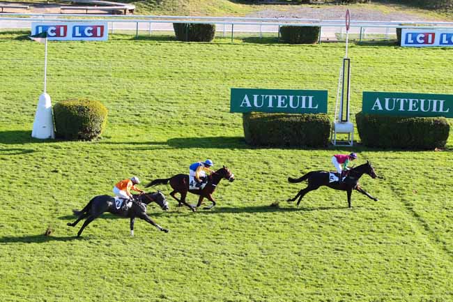 Photo d'arrivée de la course pmu PRIX ELSENEUR à AUTEUIL le Samedi 19 novembre 2016