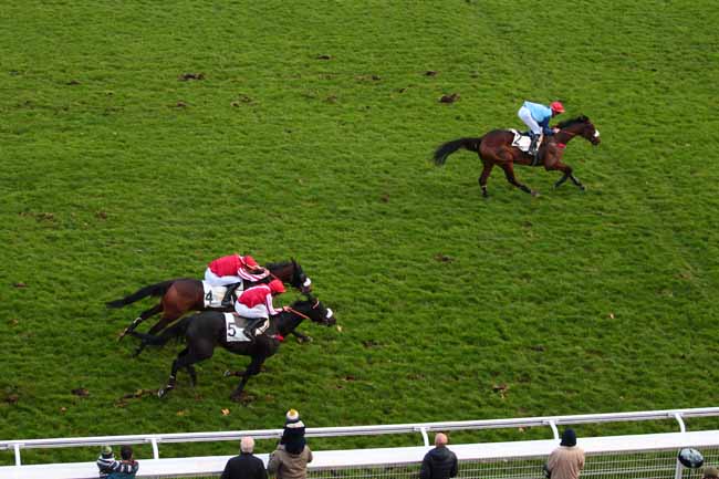 Photo d'arrivée de la course pmu PRIX LEON OLRY-ROEDERER à AUTEUIL le Samedi 19 novembre 2016