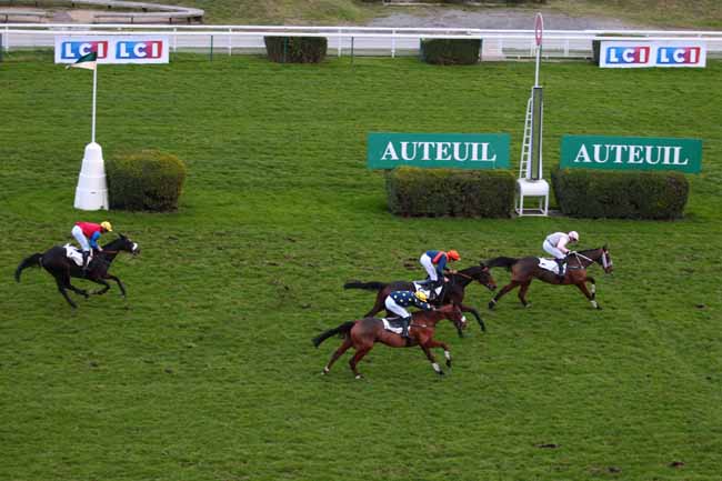 Photo d'arrivée de la course pmu PRIX METATERO à AUTEUIL le Samedi 19 novembre 2016