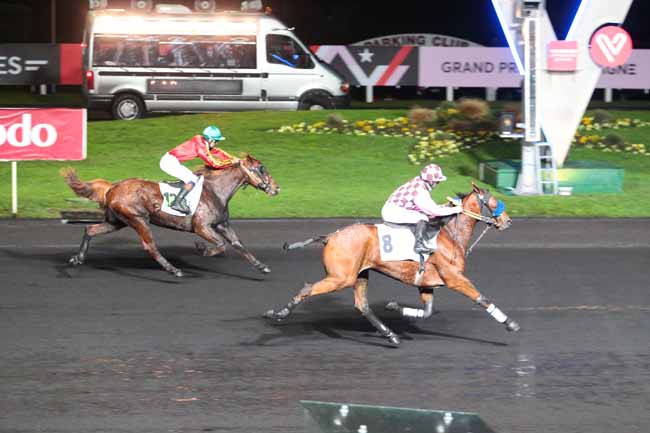 Photo d'arrivée de la course pmu PRIX D'AVRANCHES à PARIS-VINCENNES le Dimanche 20 novembre 2016