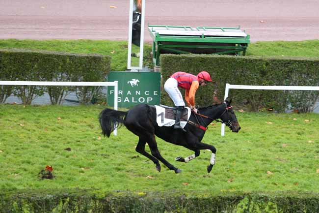 Photo d'arrivée de la course pmu PRIX DE LA CROIX DAUPHINE à ENGHIEN le Lundi 21 novembre 2016