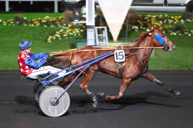 Photo d'arrivée de la course pmu PRIX EURYNOME à PARIS-VINCENNES le Mardi 22 novembre 2016