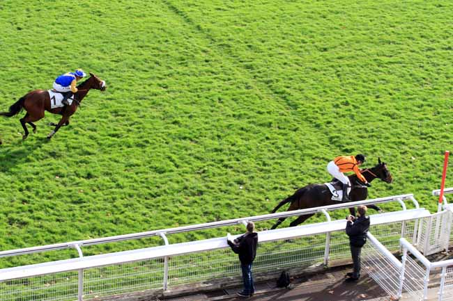 Photo d'arrivée de la course pmu PRIX KERYM à AUTEUIL le Mercredi 23 novembre 2016