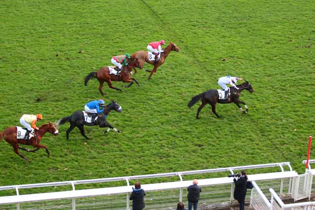 Photo d'arrivée de la course pmu PRIX FIFRELET à AUTEUIL le Dimanche 27 novembre 2016