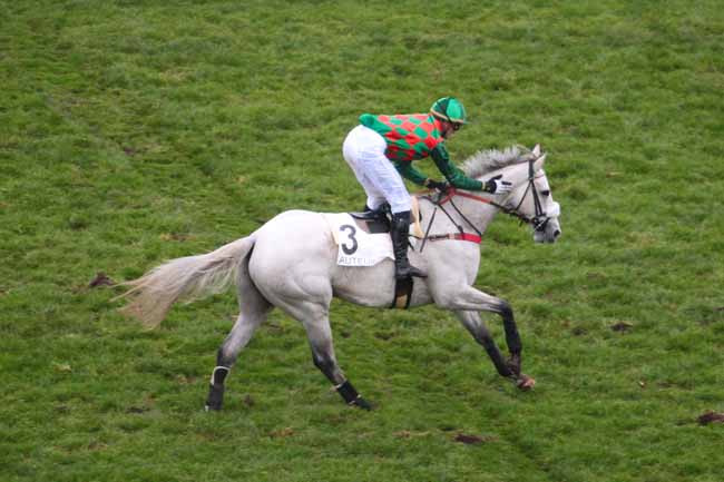 Photo d'arrivée de la course pmu PRIX NUPSALA à AUTEUIL le Dimanche 27 novembre 2016