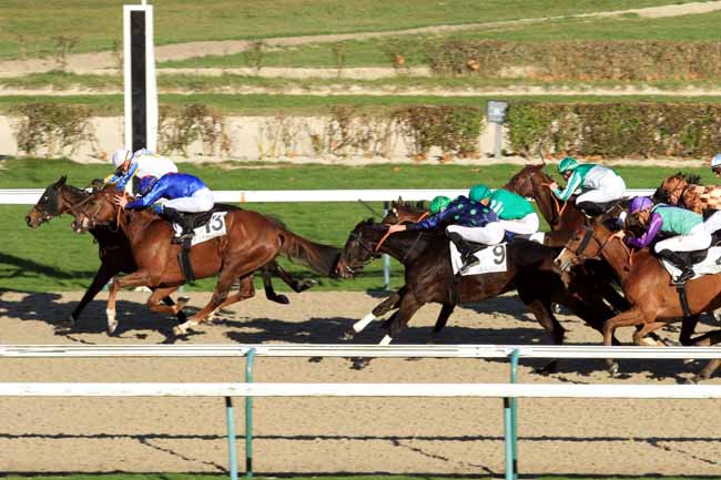 Photo d'arrivée de la course pmu PRIX DES ABRICOTIERS à DEAUVILLE le Mardi 29 novembre 2016