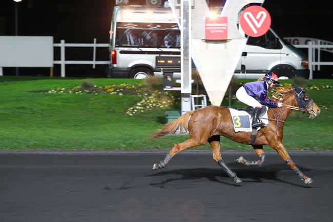 Photo d'arrivée de la course pmu PRIX ALBERT LIBEER à PARIS-VINCENNES le Mardi 29 novembre 2016