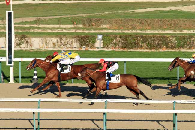 Photo d'arrivée de la course pmu PRIX DU CHEMIN DE L'AUMONE à DEAUVILLE le Mercredi 30 novembre 2016
