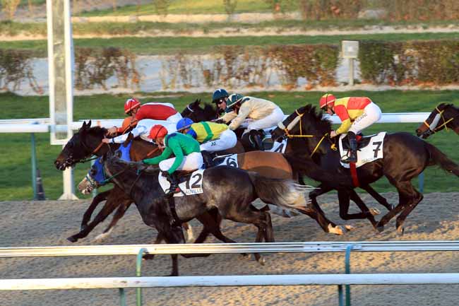 Photo d'arrivée de la course pmu PRIX DE TOURVILLE à DEAUVILLE le Mercredi 30 novembre 2016