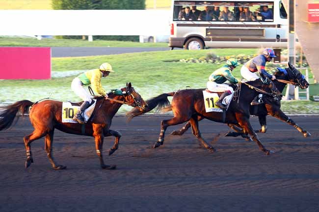 Photo d'arrivée de la course pmu PRIX PAUL BUQUET à PARIS-VINCENNES le Jeudi 1 décembre 2016