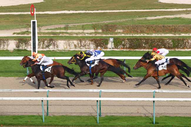 Photo d'arrivée de la course pmu PRIX DES VAGUES à DEAUVILLE le Mercredi 7 décembre 2016