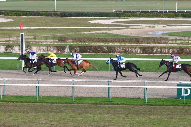 Photo d'arrivée de la course pmu PRIX DE ROIVILLE à DEAUVILLE le Jeudi 8 décembre 2016