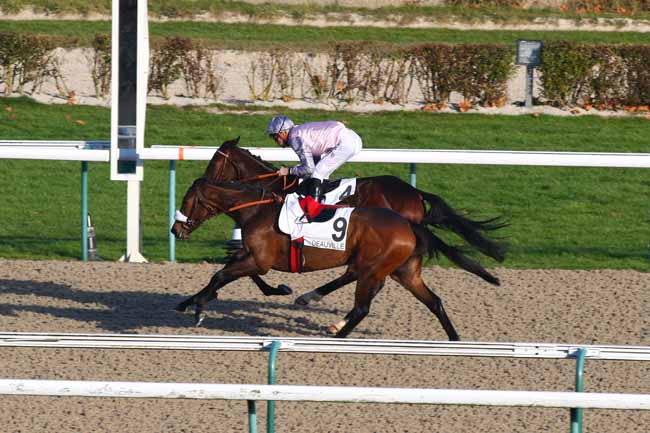 Photo d'arrivée de la course pmu PRIX DE LA HAUQUERIE à DEAUVILLE le Jeudi 8 décembre 2016