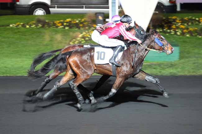 Photo d'arrivée de la course pmu PRIX DE LECTOURE à PARIS-VINCENNES le Dimanche 11 décembre 2016