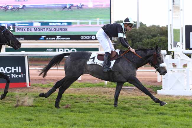 Photo d'arrivée de la course pmu PRIX DU MONT FALOURDE à CAGNES-SUR-MER le Lundi 12 décembre 2016