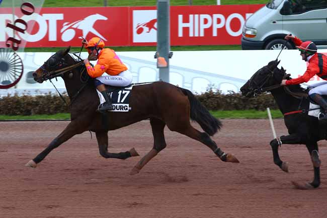 Photo d'arrivée de la course pmu PRIX DES SAULES à CABOURG le Mardi 13 décembre 2016