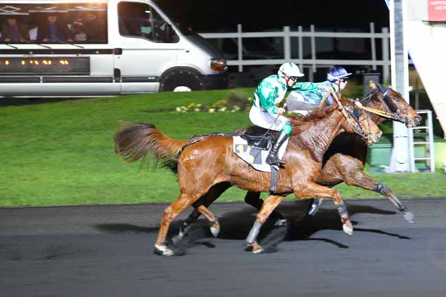 Photo d'arrivée de la course pmu PRIX GIENAH à PARIS-VINCENNES le Mardi 13 décembre 2016