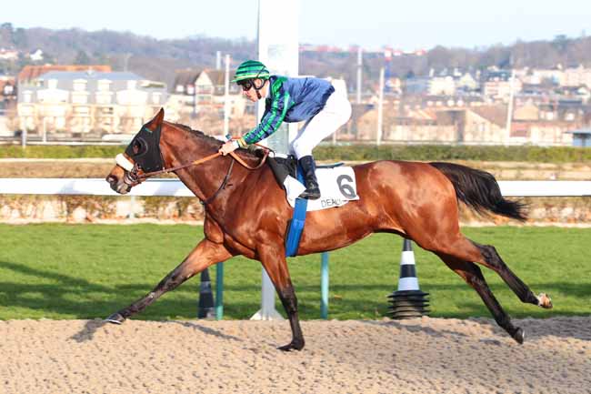 Photo d'arrivée de la course pmu PRIX DU PAYS D'OUCHE à DEAUVILLE le Mercredi 14 décembre 2016