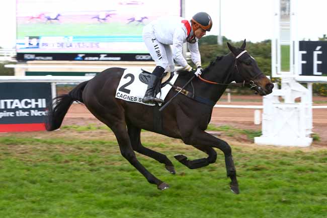 Photo d'arrivée de la course pmu PRIX DE LA VESUBIE à CAGNES-SUR-MER le Jeudi 15 décembre 2016