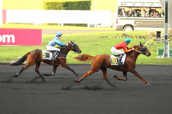 Photo d'arrivée de la course pmu PRIX DU NEUBOURG à PARIS-VINCENNES le Vendredi 16 décembre 2016