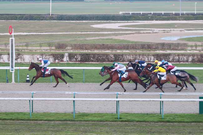Photo d'arrivée de la course pmu PRIX DE LA POTERIE à DEAUVILLE le Vendredi 16 décembre 2016